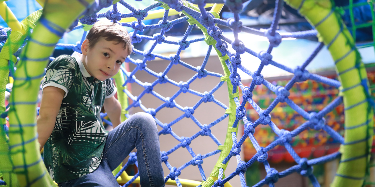 Net Adventure (12).png